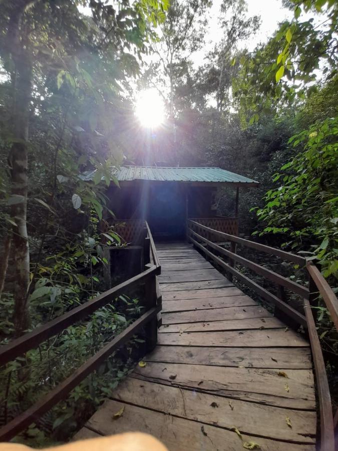Yasi Yatere Reserva Agroecologica El Soberbio Bagian luar foto
