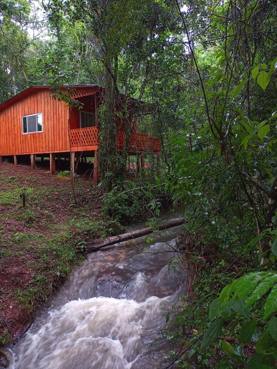 Yasi Yatere Reserva Agroecologica El Soberbio Bagian luar foto