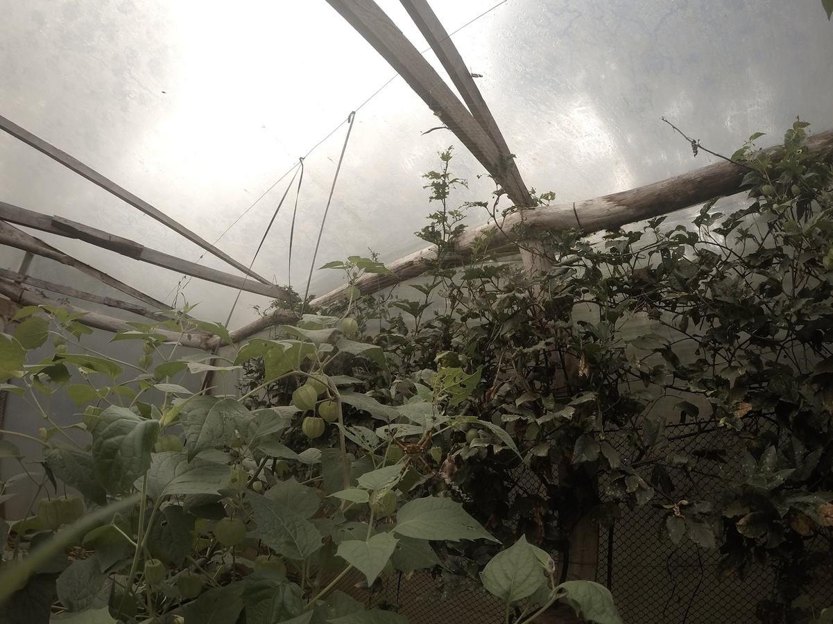 Yasi Yatere Reserva Agroecologica El Soberbio Bagian luar foto