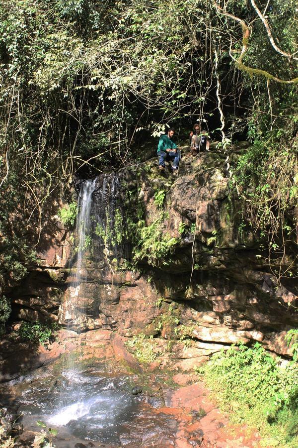 Yasi Yatere Reserva Agroecologica El Soberbio Bagian luar foto