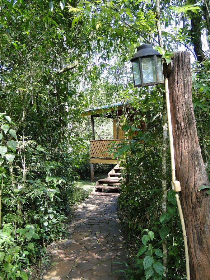 Yasi Yatere Reserva Agroecologica El Soberbio Bagian luar foto