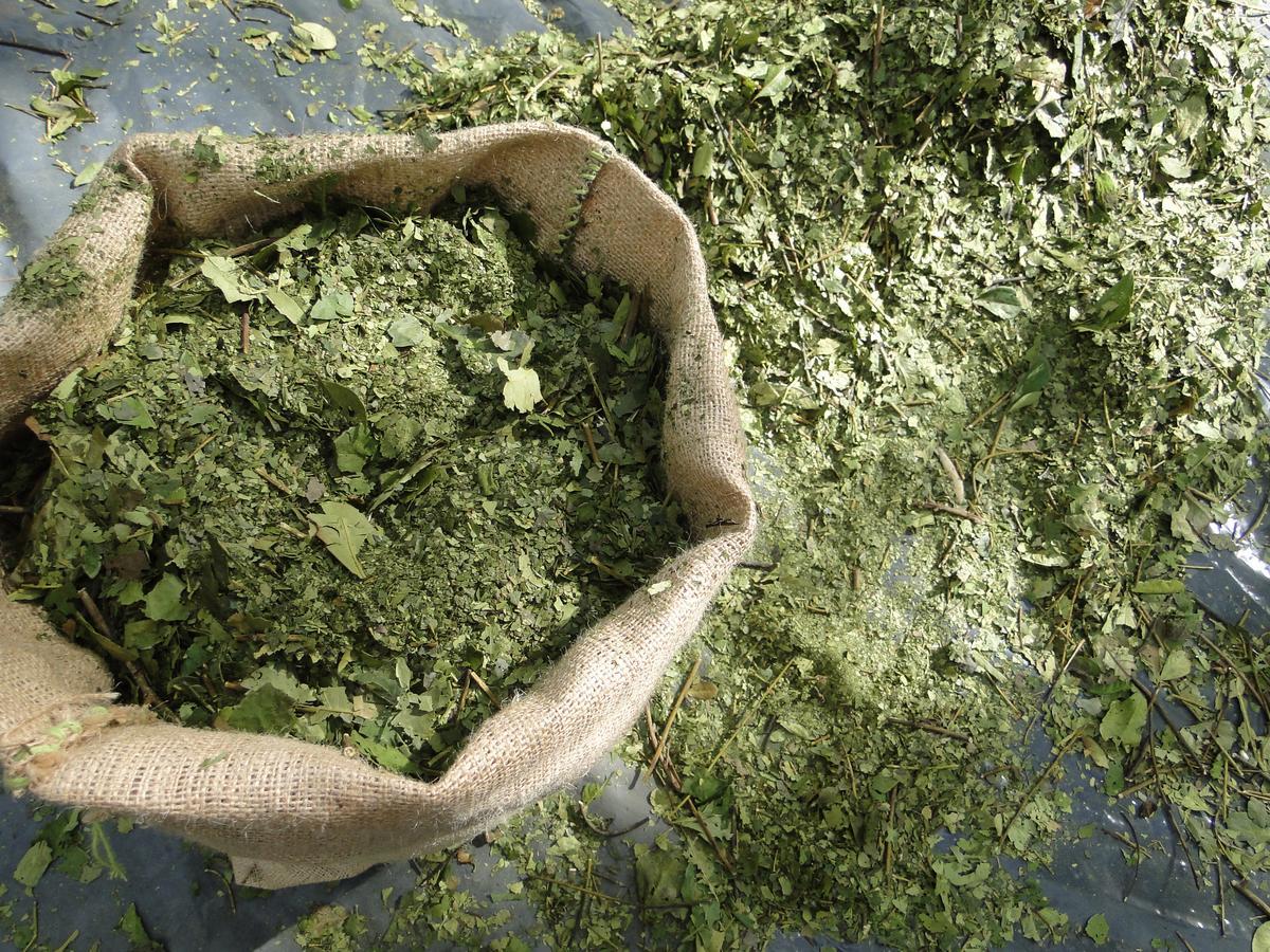 Yasi Yatere Reserva Agroecologica El Soberbio Bagian luar foto