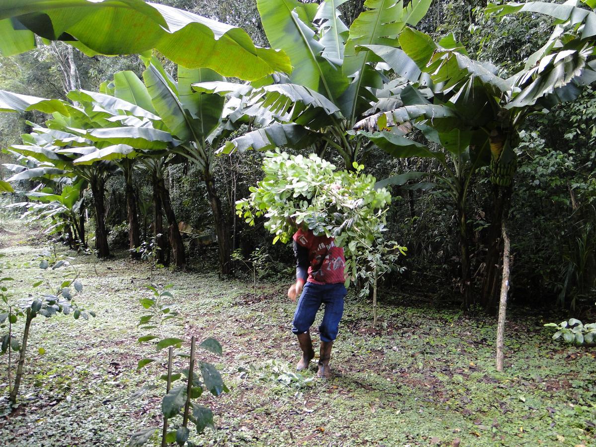 Yasi Yatere Reserva Agroecologica El Soberbio Bagian luar foto