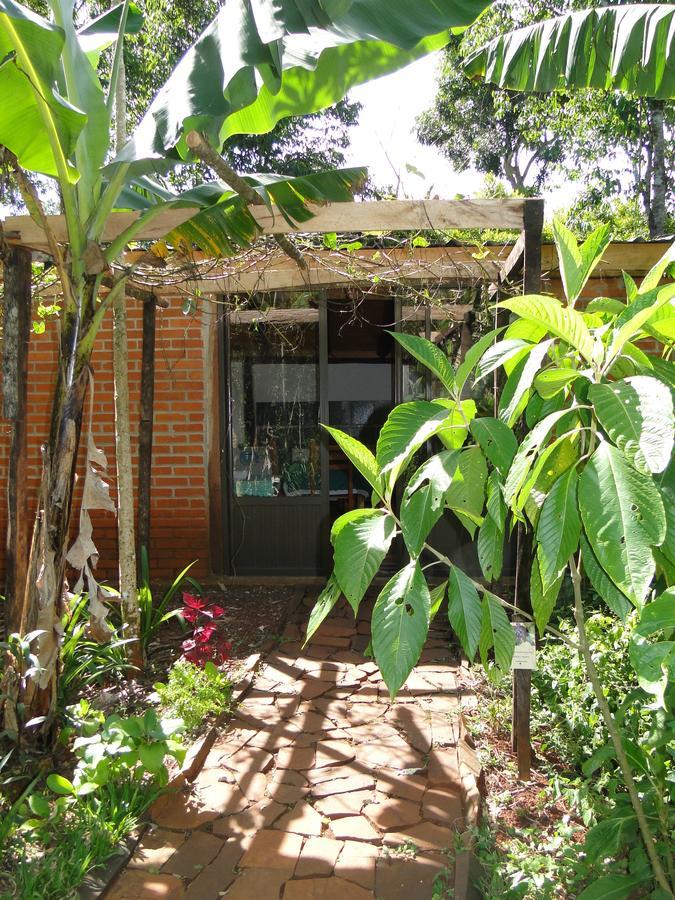 Yasi Yatere Reserva Agroecologica El Soberbio Bagian luar foto